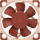 Noctua NF-A4x10 5V PWM, Gehäuselüfter 40 mm