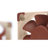 Noctua NF-A4x10 5V PWM, Gehäuselüfter 40 mm