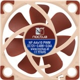 Noctua NF-A4x10 PWM, Gehäuselüfter 40 mm