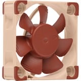 Noctua NF-A4x10 PWM, Gehäuselüfter 40 mm