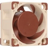 Noctua NF-A4x20 5V PWM, Gehäuselüfter 5 Volt Betriebsspannung, 40 mm