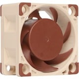 Noctua NF-A4x20 FLX, Gehäuselüfter 40 mm