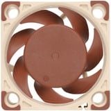 Noctua NF-A4x20 FLX, Gehäuselüfter 40 mm