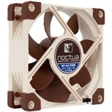 Noctua NF-A8 PWM, Gehäuselüfter 80 mm