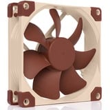 Noctua NF-A9 5V PWM, Gehäuselüfter 92 mm