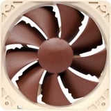 Noctua NF-P12 PWM, Gehäuselüfter braun, Retail, 120 mm