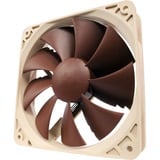 Noctua NF-P12 PWM, Gehäuselüfter braun, Retail, 120 mm