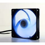 Scythe Kaze Flex PWM RGB 1800 120x120x27, Gehäuselüfter schwarz/transparent