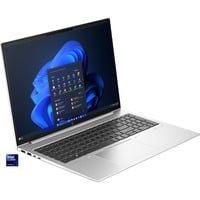 HP EliteBook 860 G11 (A26V5EA), Notebook silber, Windows 11 Pro 64-Bit, 40.6 cm (16 Zoll), 512 GB SSD