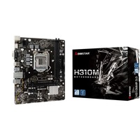 Biostar H310MHP 3.0, Mainboard 