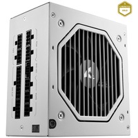 Sharkoon Rebel P20 750 White, PC-Netzteil weiß, 1x 12 Pin High Power Anschluss, 4x PCIe, Kabelmanagement, 750 Watt