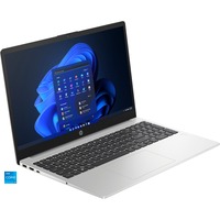 HP 250 G10 (9V1L5AT), Notebook silber, Intel® Core™ i5-1335U, Intel® Iris® Xe Graphics, 16 GB DDR4, 512 GB SSD, Windows 11 Pro 64-Bit