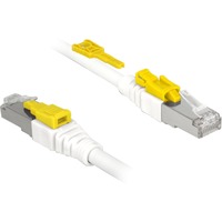 DeLOCK Patchkabel RJ45 Secure Cat.6a S/STP weiß, 0,5 Meter, verriegelbar, LSOH Halogenfrei